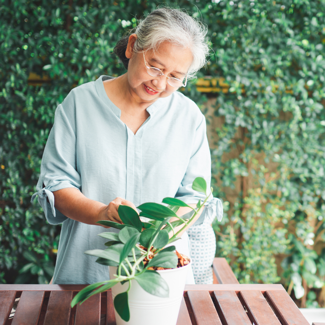 Keeping Elderly Active and Gardening All Year: Chiropractic Care in KL